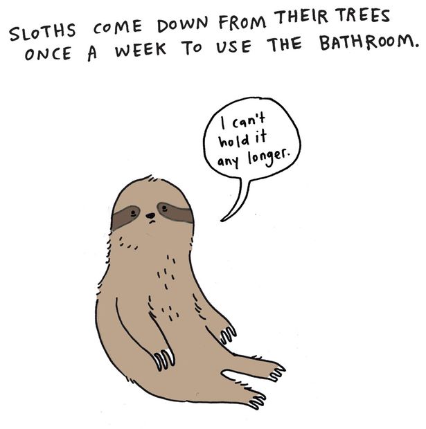 Sad-Animal-Facts-by-Brooke-Barker